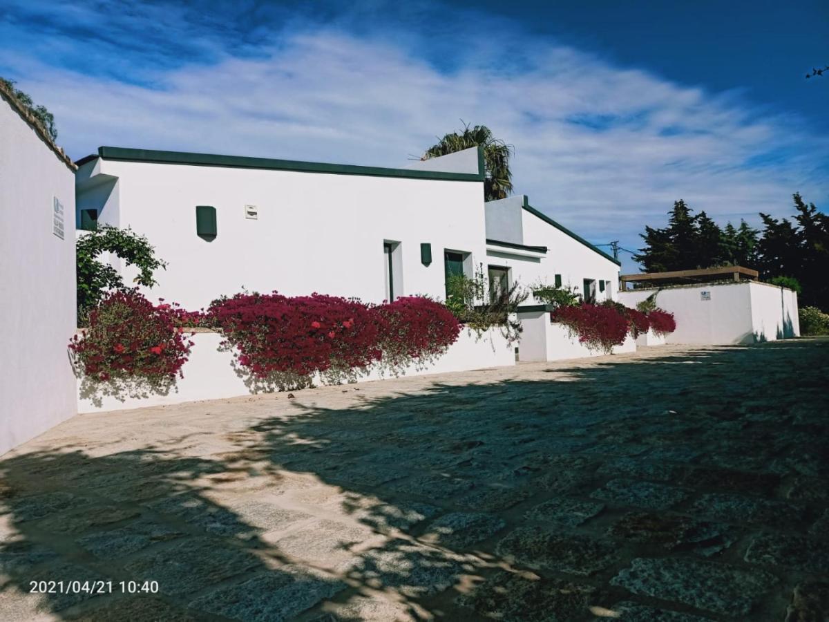 Casa La Palmera - Solo Familias Y Parejas Conil De La Frontera Exterior photo